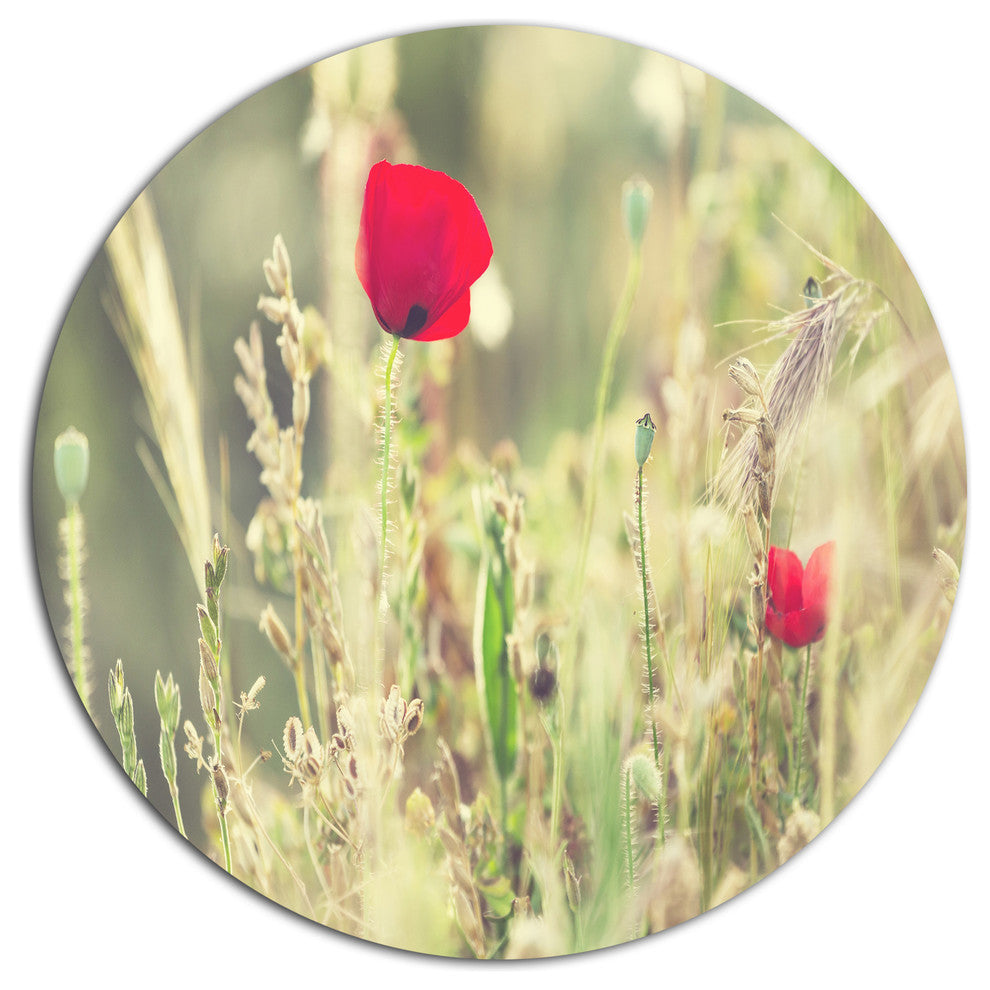 Meadow With Wild Poppy Flowers, Flower Round Wall Art, 11"