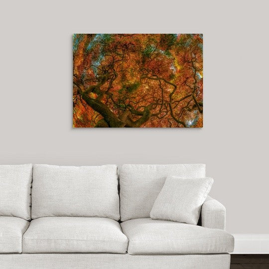 "Japanese Maple" Wrapped Canvas Art Print, 36"x26"x1.5"