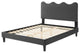 Platform Bed Frame, King Size, Charcoal Gray, Velvet, Modern, Guest Suite