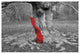 "Flow I Crop" Digital Paper Print by Laura Marshall, 38"x26"
