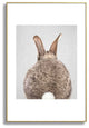 Gal Design Rabbit Tail Colorful Metal Framed Art Print