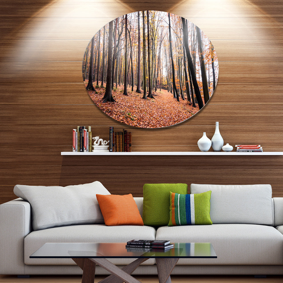 Bright Fall Forest With Clear Sky, Forest Large Disc Metal Artwork, 23"