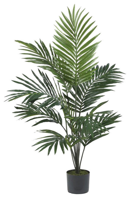 5' Kentia Palm Silk Tree