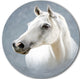 A White Horse Alone, Animal Disc Metal Artwork, 36"