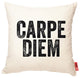 "Carpe Diem" Decorative Throw Pillow in Cream Muslin