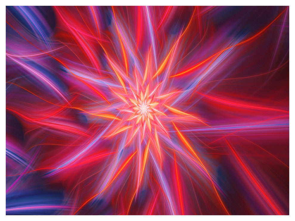 Shining Red Purple Exotic Flower, Floral Canvas Art Print, 40"x30"