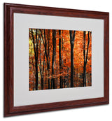 'Indisputable Truth' Matted Framed Canvas Art by Philippe Sainte-Laudy