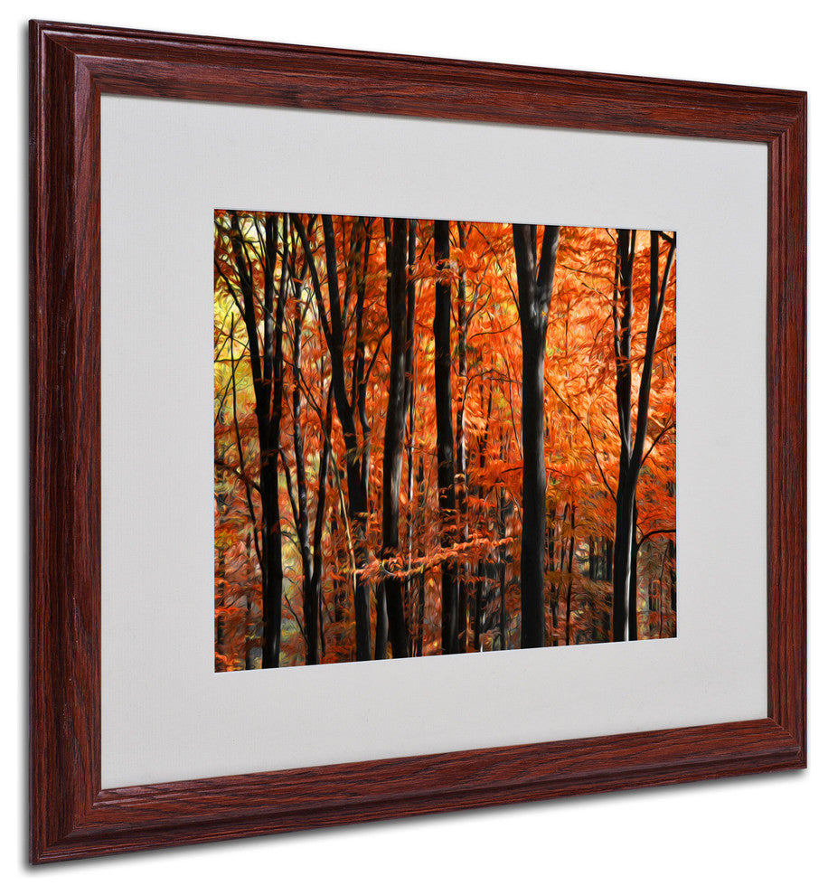 'Indisputable Truth' Matted Framed Canvas Art by Philippe Sainte-Laudy