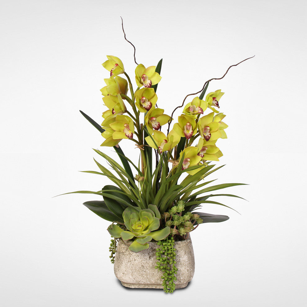 Alluring Green Real Touch Cymbidium Orchid & Succulents in a Textured Cement Pot