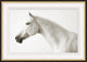 White Lightening, Giclee Reproduction Artwork