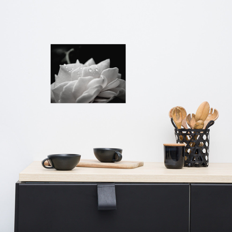 Delicate Rose Black & White Nature Photo Floral Unframed Wall Art Print, 11" X 14"