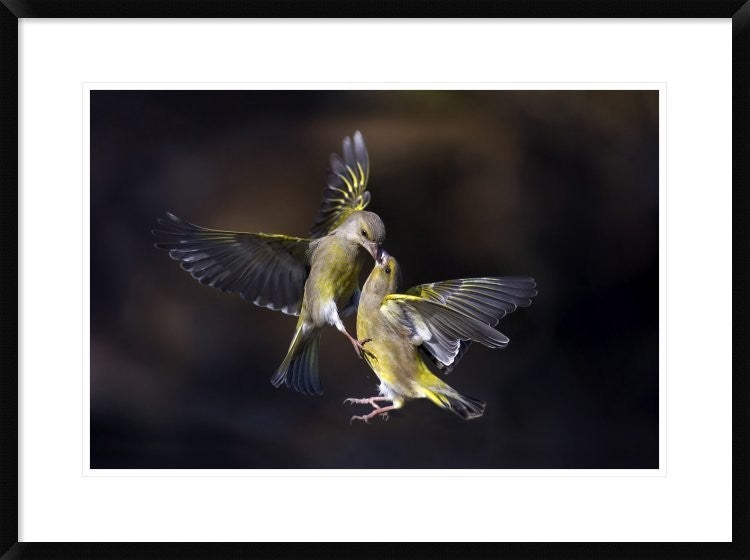 "Flying Kiss 11" Framed Digital Print by Marco Redaelli, 32x24"