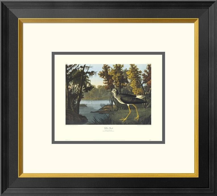 "Yellow Shank (decorative border)"  by John James Audubon, 20x18"