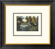 "Yellow Shank (decorative border)"  by John James Audubon, 20x18"