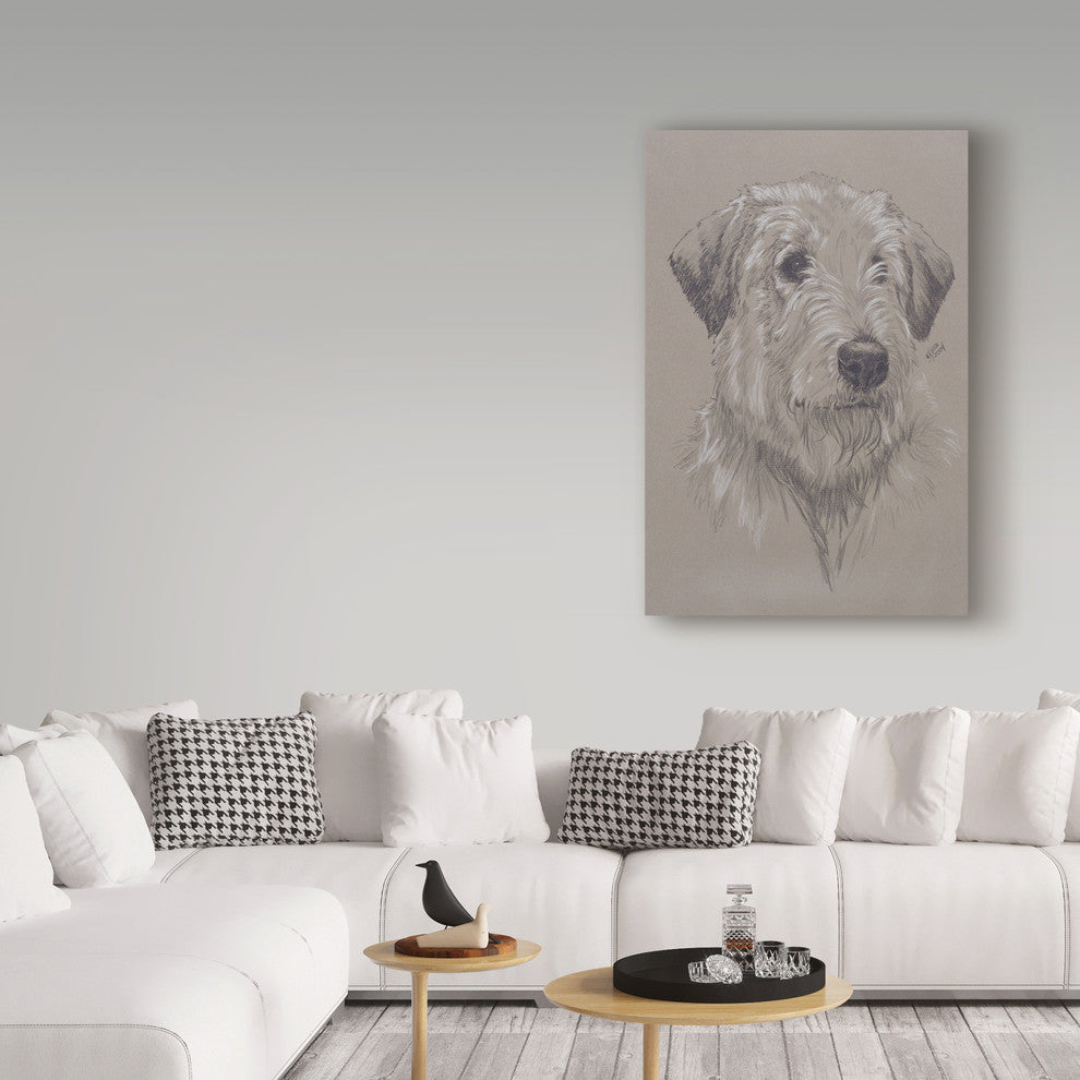 "Irish Wolfhound Illustration" by Barbara Keith, Canvas Art