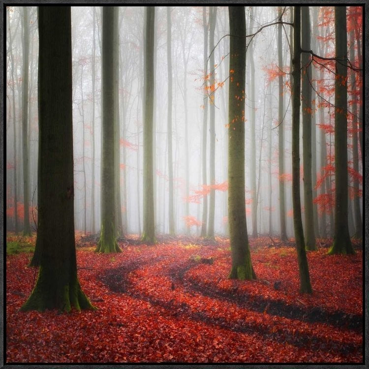 "Autumnal Tracks" Framed Canvas Giclee by Carsten Meyerdierks, 23x23"