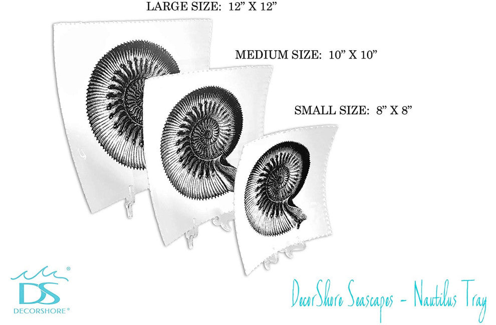 Decorative Tray with Display Stand with Nautilus Shell in Black & White, Medium