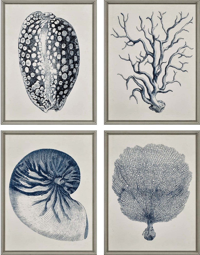 Coastal, Set of 4