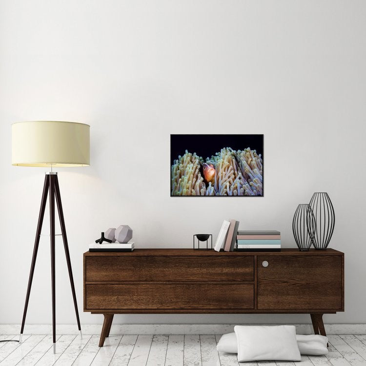 "Clownfish" Framed Canvas Giclee by Barathieu Gabriel, 31x21"
