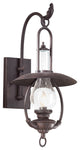 Troy Lighting La Grange One Light Wall Lantern BCD9010OBZ