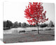 Red Tree over Park Bench, Landscape Canvas Art Print, 20"x12"