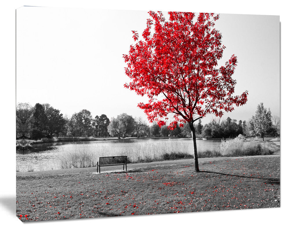 Red Tree over Park Bench, Landscape Canvas Art Print, 20"x12"