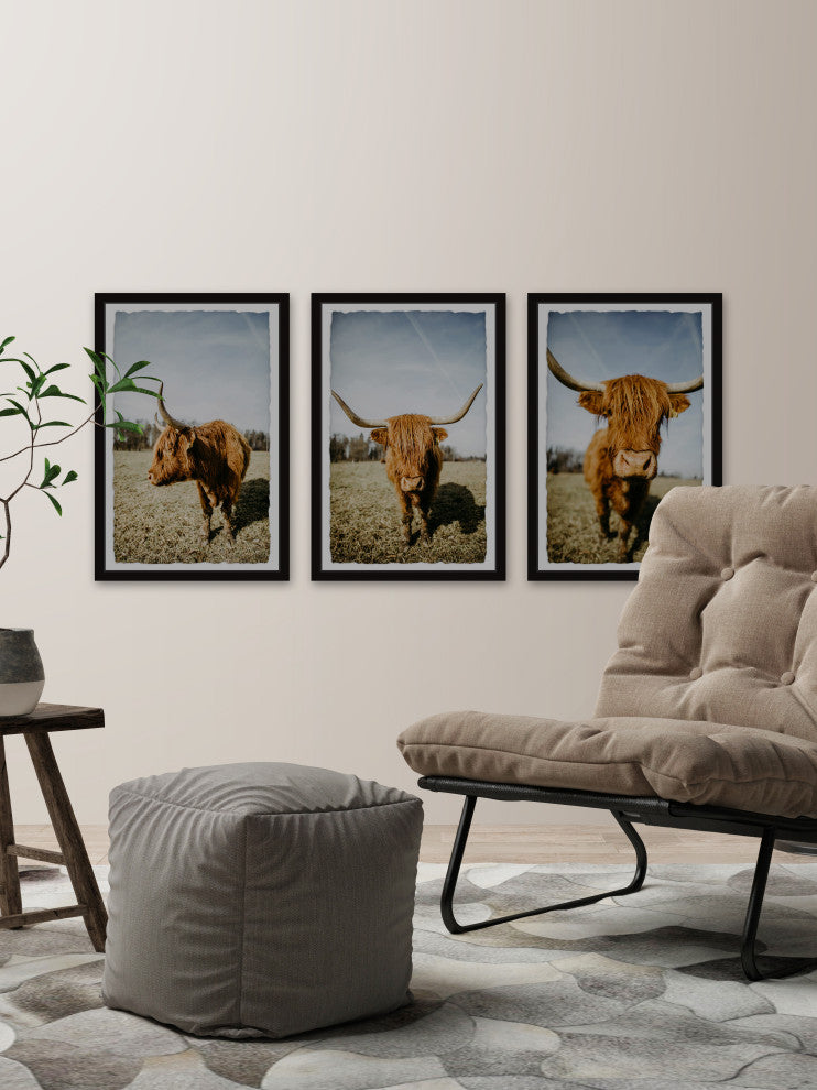 Sweeping Horns Triptych, Set of 3, 12x18 Panels