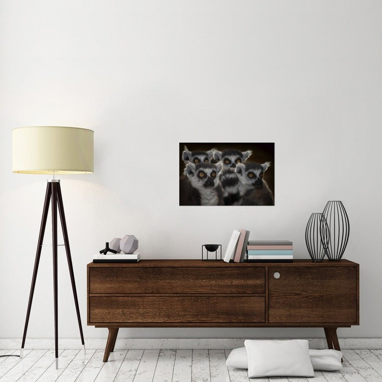 "Maki Catta School" Stretched Canvas Giclee by Mathilde Guillemot, 30"x20"