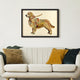 Golden Retriever Hand-made dimensional Collage, Shadow Box Frame
