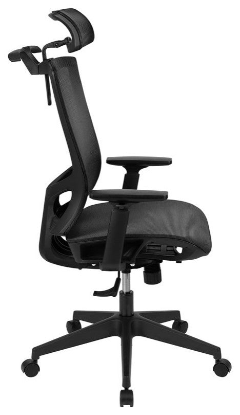 Ergonomic Mesh Chair, Lumbar Support, Coat Hanger and Adjustable Arms, Black