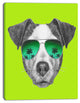 Jack Russell in Green Glasses, Contemporary Animal Art Canvas, 30"x40"
