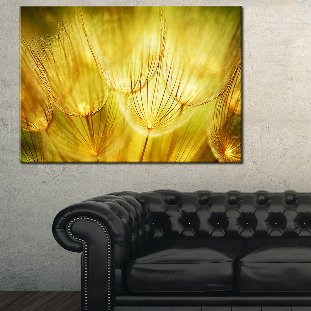 "Soft Yellow Dandelion Flowers" Floral Photography Canvas Print, 40"x30"