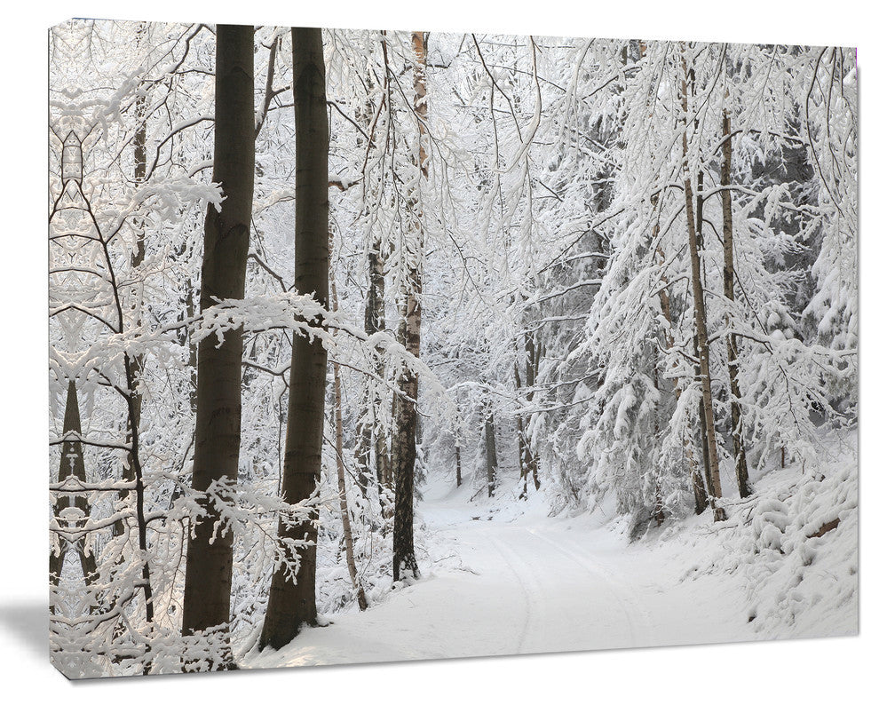 Dense Winter Forest and Lane, Large Forest Canvas Art Print, 40"x30"