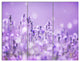 Stunning Purple Lavender Field, Landscape Triptych Canvas Print, 36x28, 3 Panels
