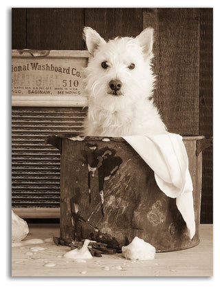 Vintage Wash Day by Edward M. Fielding, Print on Canvas, Ready to Hang