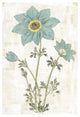 "Bloemen Boek VII" Digital Paper Print by Sue Schlabach, 18"x26"