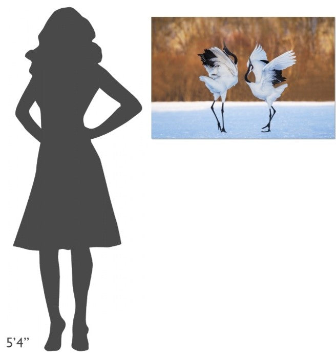"The Dance Of Love" Stretched Canvas Giclee by C. Mei, 36x24"