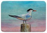 Royal Tern Bath Mat 24x36