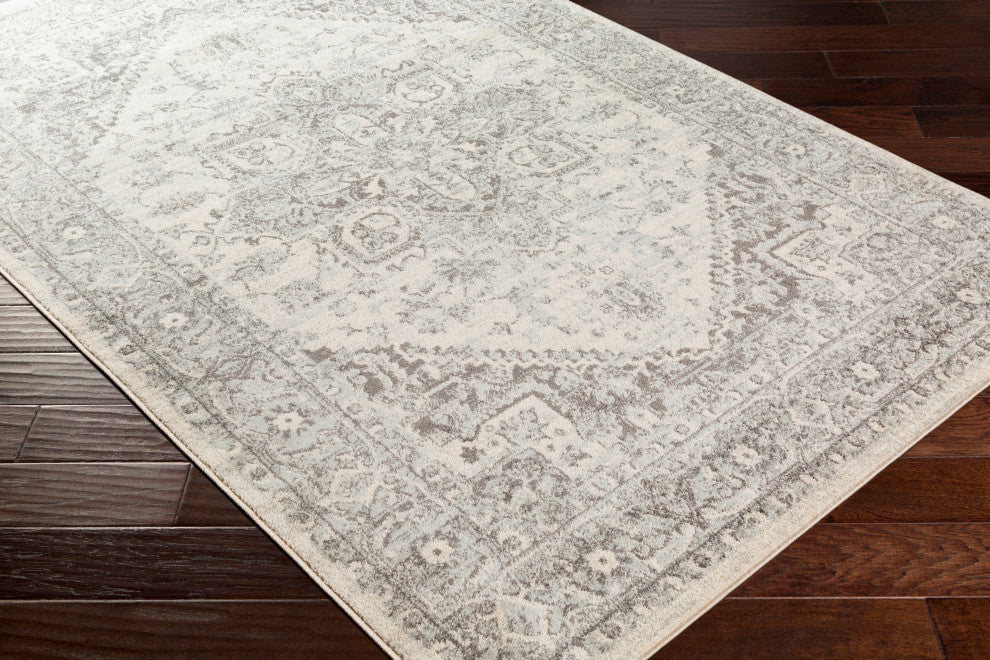 Surya Chester CHE-2312 Traditional Area Rug, 9' x 12' Rectangle