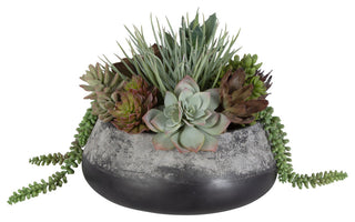 Uttermost Yuma Succulent Centerpiece