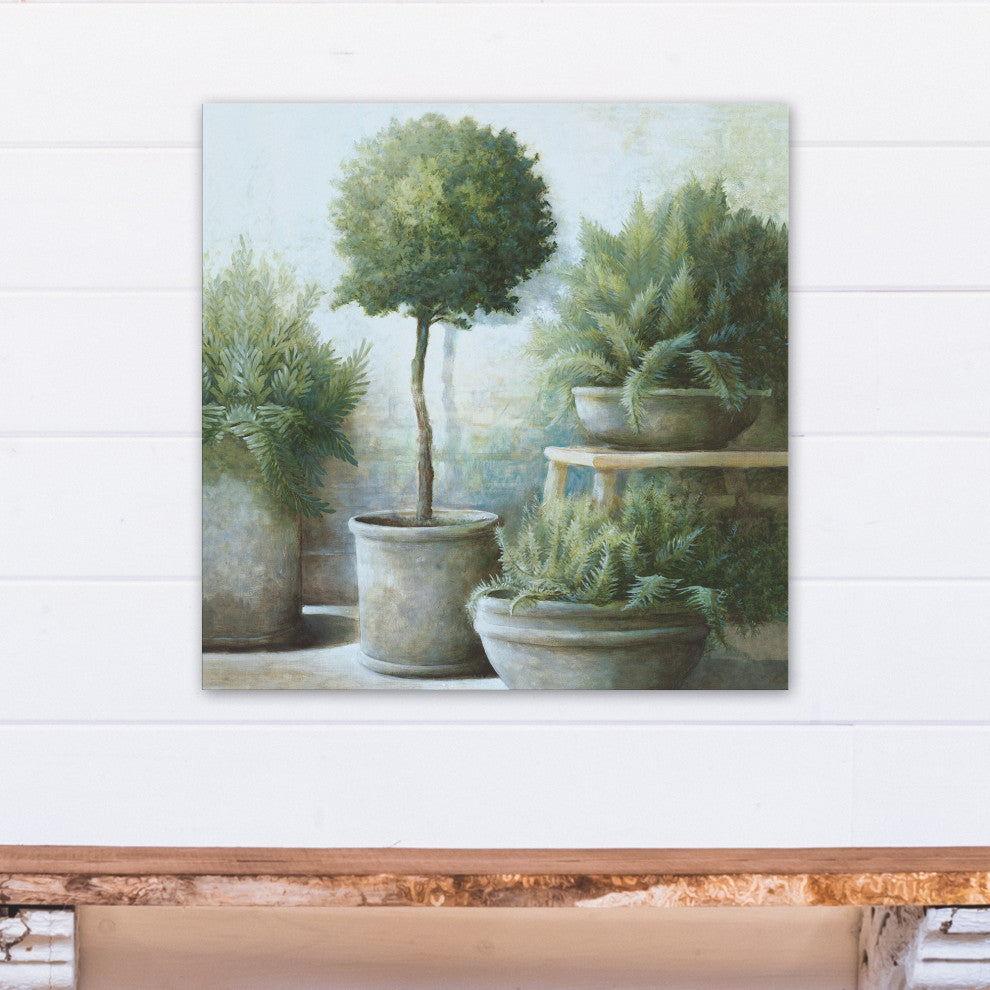 Potted Greenery 24x24 Canvas Wall Art