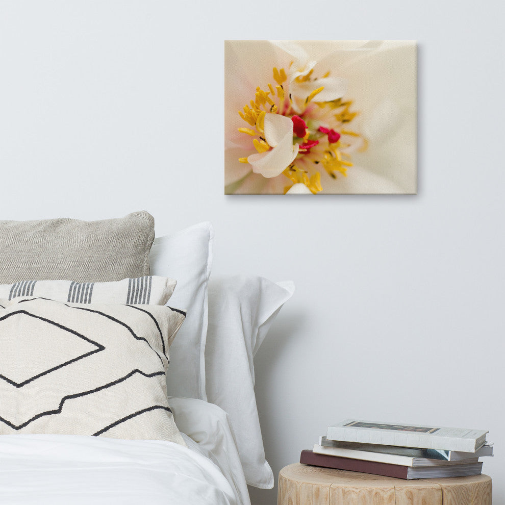 Eye of Peony Floral Nature Photography Canvas Wall Art Print, 16" X 20"
