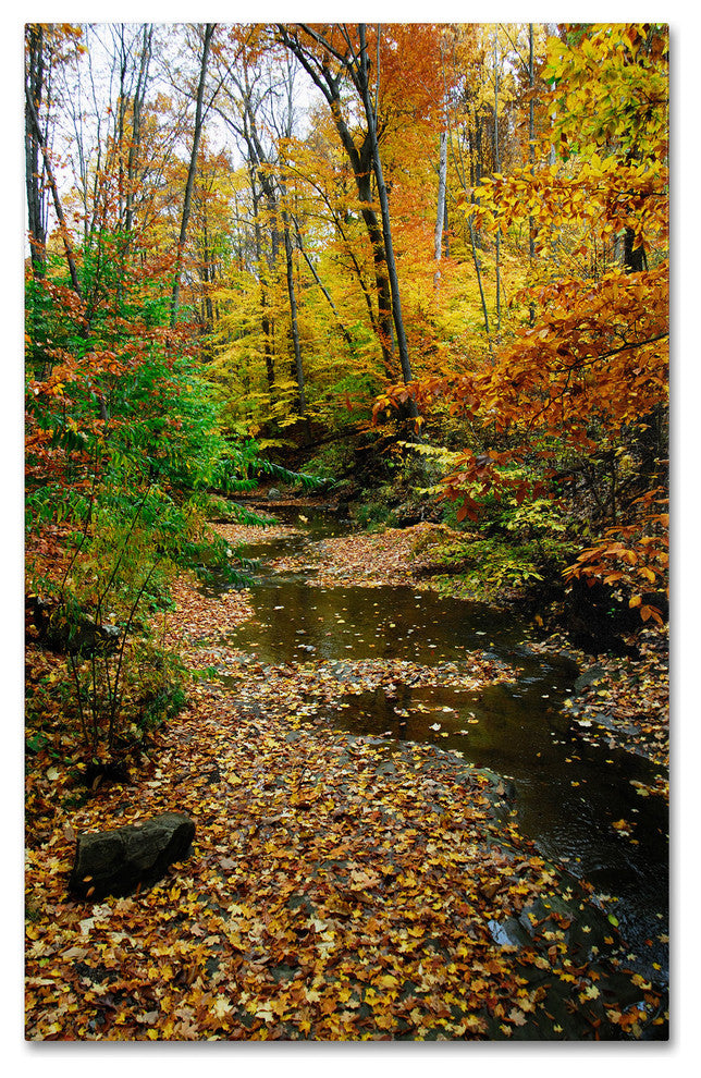 'Autumn Stream II' Canvas Art by Kurt Shaffer