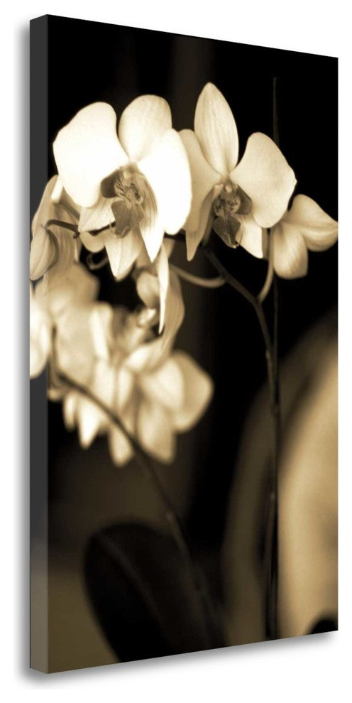 "Exotic Blooms" By Cinzia Ryan,Ready to Hang Giclee Print on Gallery Wrap Canvas