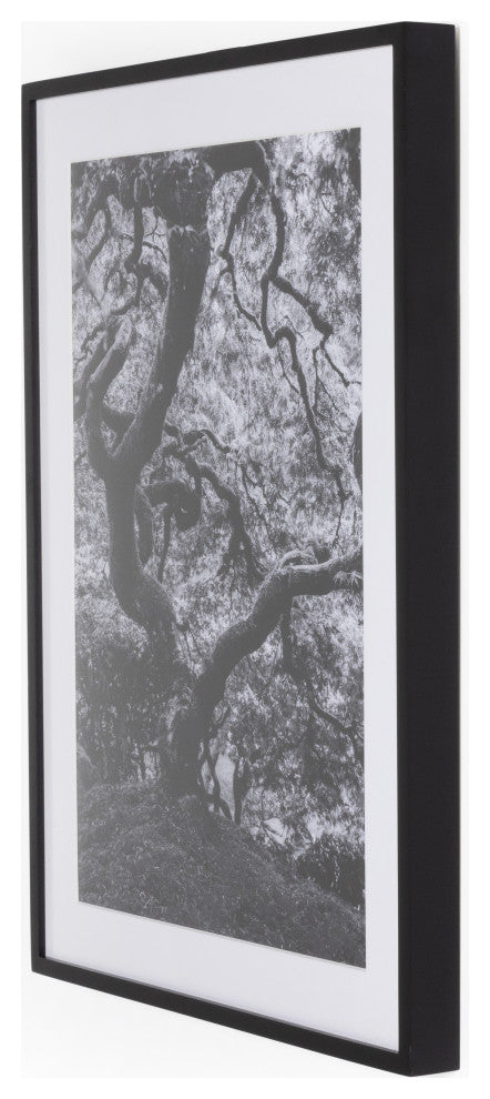 Tree Gaze Iv By Coup D'esprit