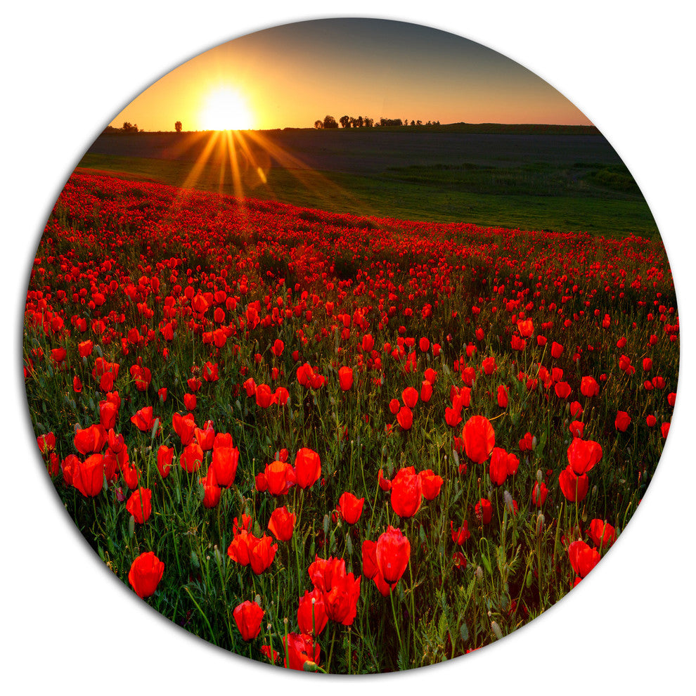 Sunset Over Garden With Red Poppies, Floral Disc Metal Wall Art, 23"