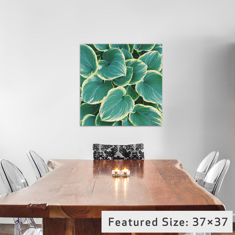"Some Like It Hosta" by Chelsea Victoria, 12x12x1.5