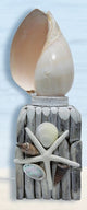 Shell Night Light