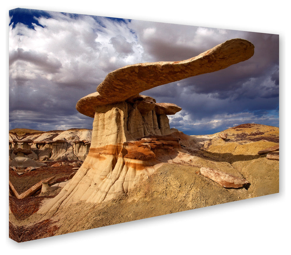 Mike Jones Photo 'NM Ah-shi-sle-pah King Of Wings' Canvas Art, 30x47