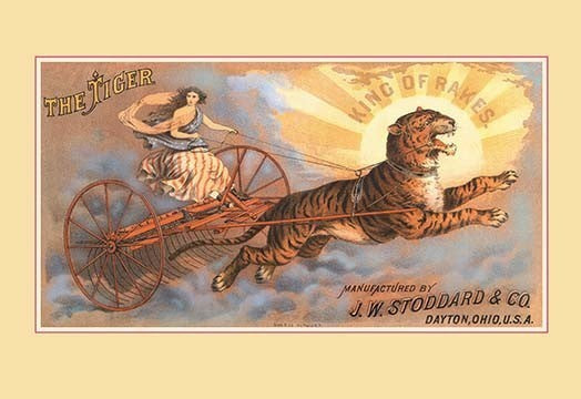 The Tiger - King of Rakes - Fine Art Giclee Print 24" x 36"